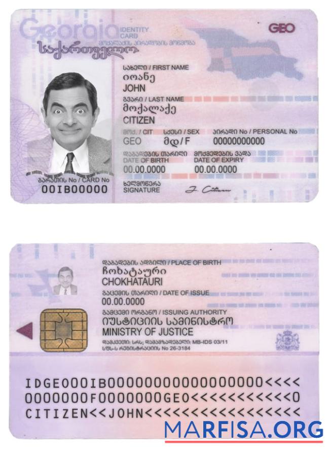 Realistic Georgia ID real example